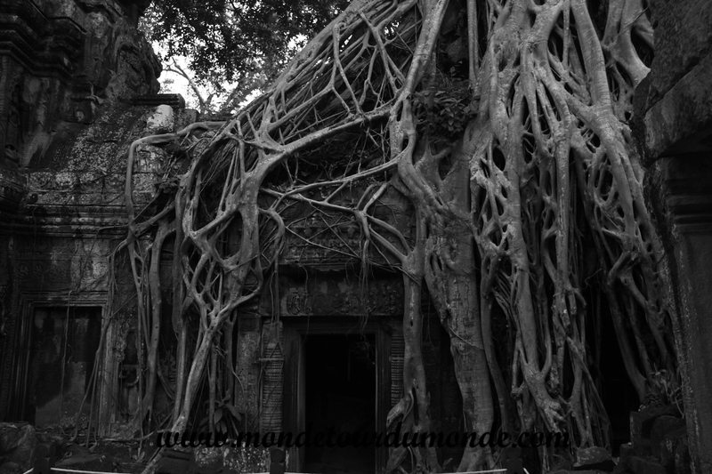 Siem Reap (246)