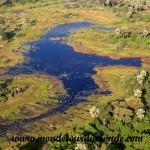 Okavango (13)