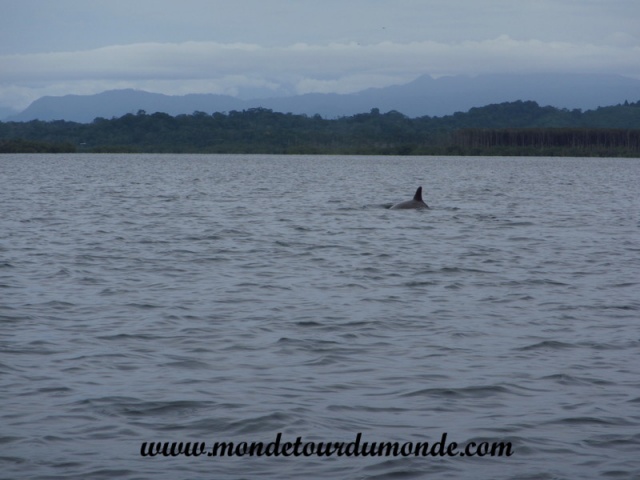 Bocas del Toro (19).JPG