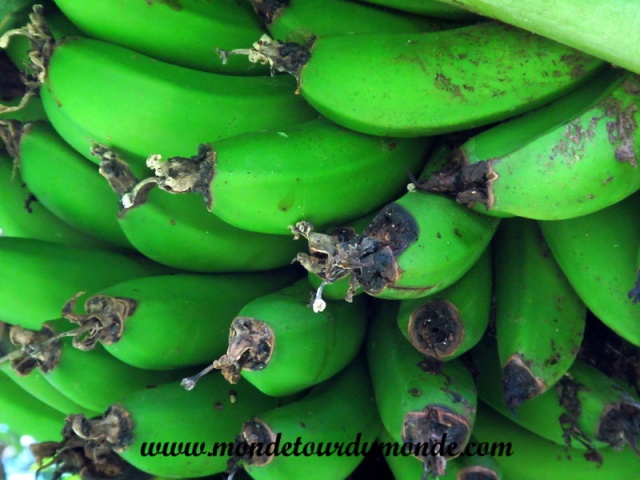 Bocas del Toro (2).JPG