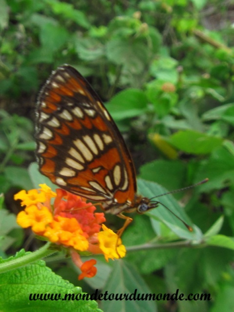Ometepe (35).JPG
