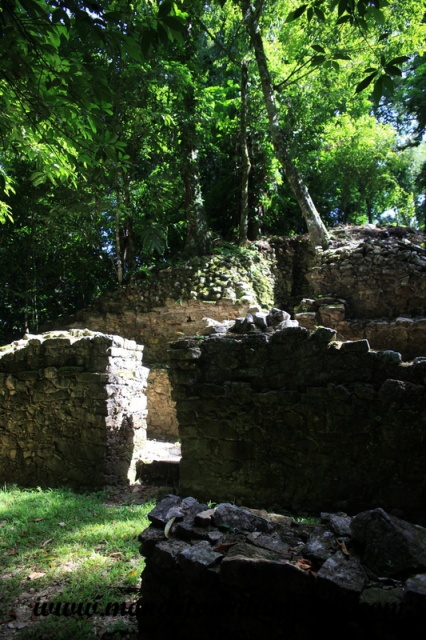 Palenque (41).JPG