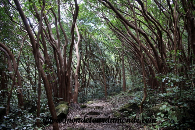 O'ahu (43).JPG
