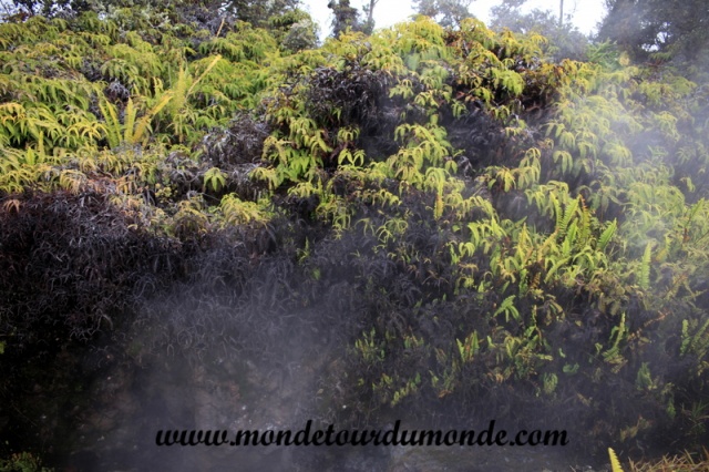 Volcanoes Park (8).JPG