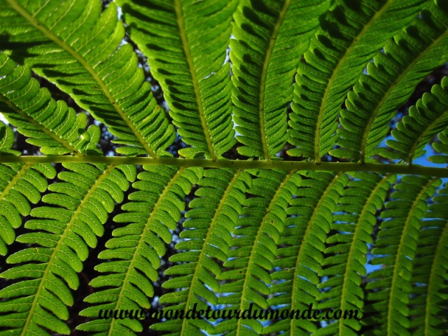 Volcanoes Park (220).JPG