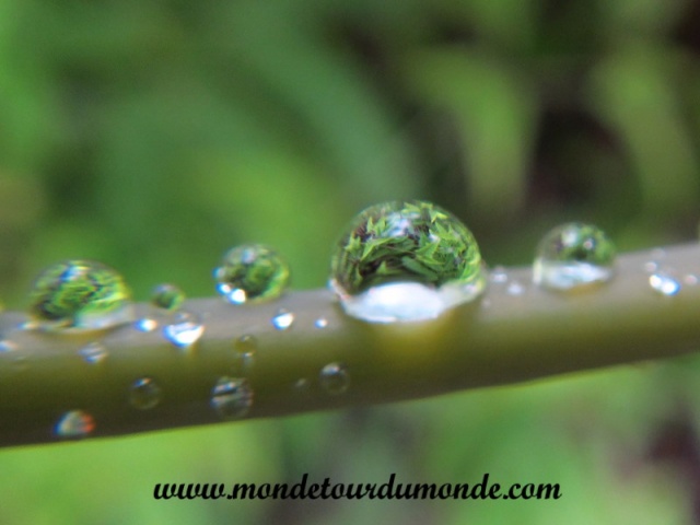 Volcanoes Park (248).JPG