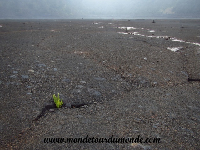 Volcanoes Park (289).JPG