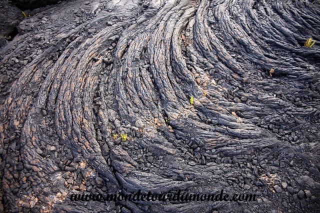 Volcanoes Park (81).JPG
