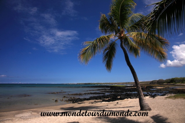 Hawai'i (41).JPG