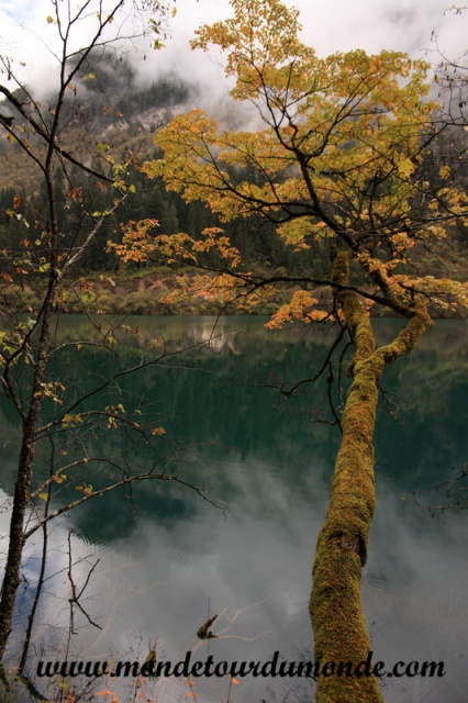 Jiuzhaigou (30).JPG
