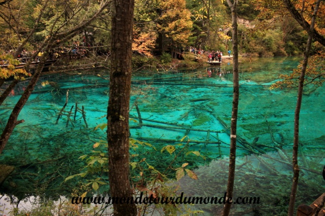 Jiuzhaigou (93).JPG
