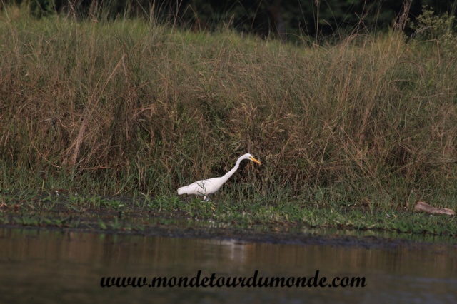 Chitwan (43).JPG
