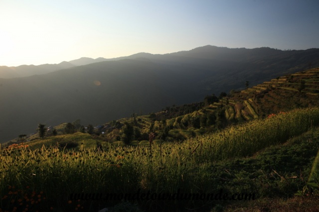 Langtang (1).JPG