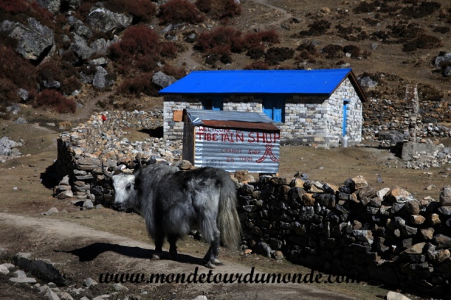 Langtang (159).JPG