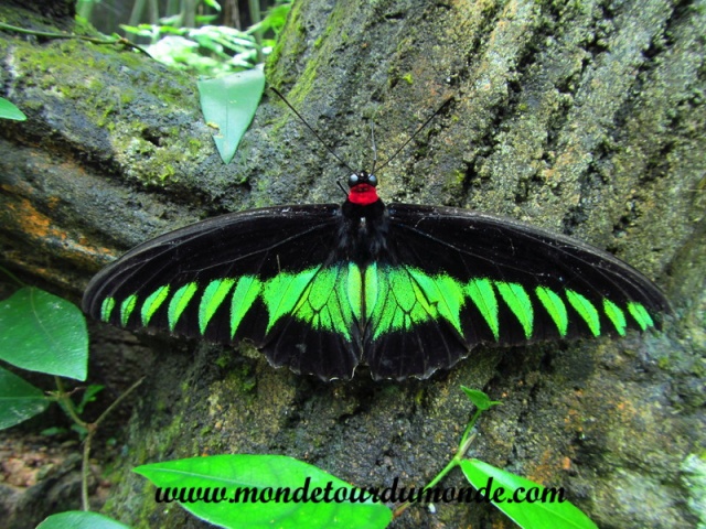 Kuala Lumpur (73).JPG