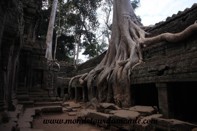Siem Reap (254).JPG