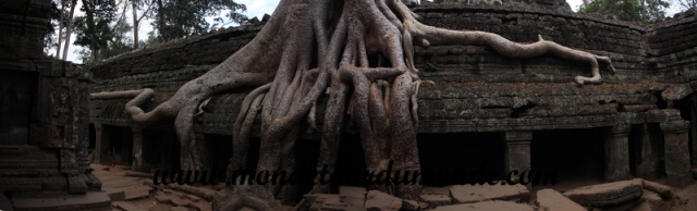 Siem Reap (325).jpg