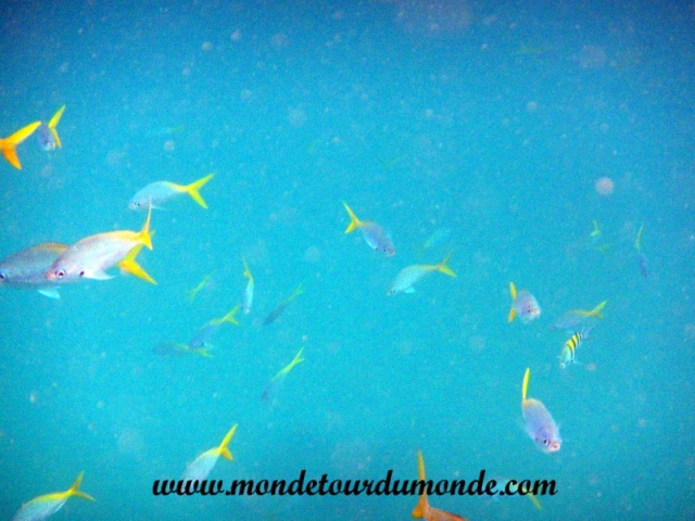 Koh Tao (128).JPG