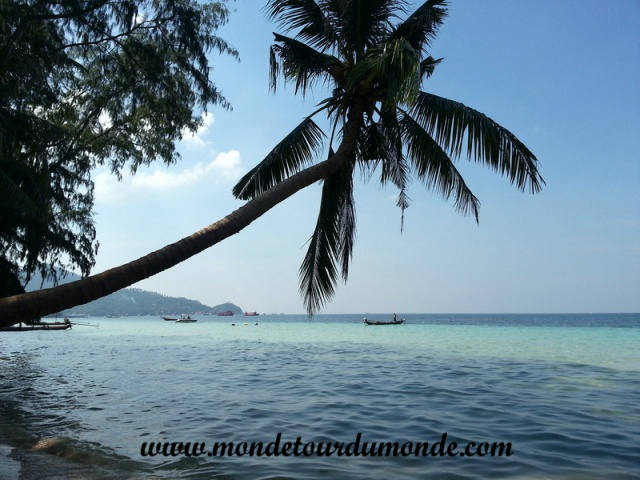 Koh Tao (38).jpg