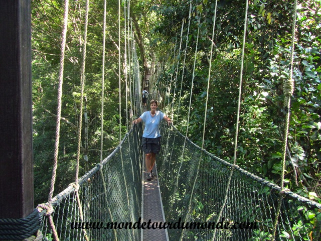 Taman Negara (71).JPG