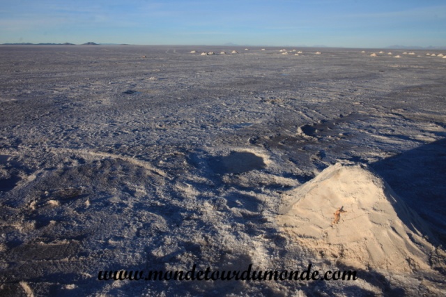 Uyuni (42).JPG