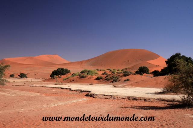Désert de Namib (137).JPG