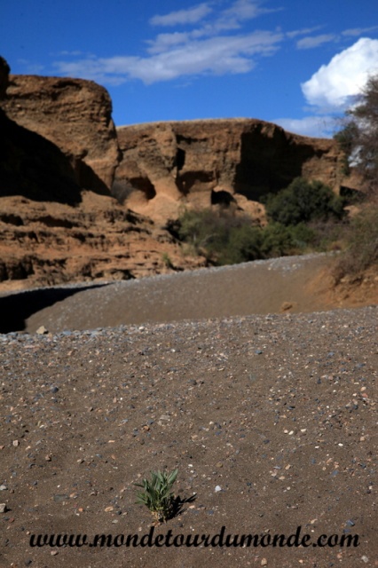Désert de Namib (29).JPG
