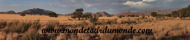 Désert de Namib (59).jpg