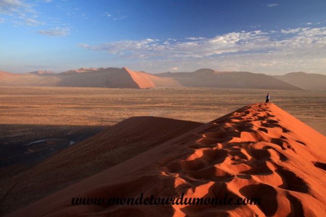 Désert de Namib (89).JPG