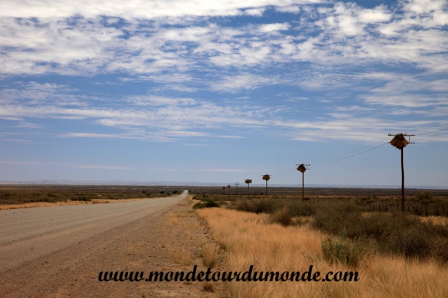 Désert de Namib (3).JPG