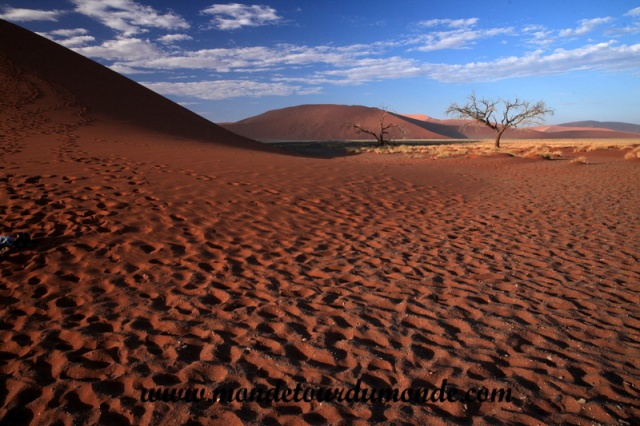 Désert de Namib (102).JPG