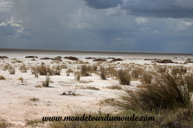 Etosha (69).JPG
