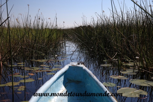 Okavango (76).JPG