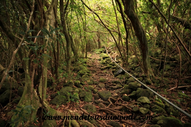 Piton de la fournaise (5).JPG