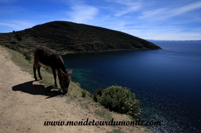 Lac Titicaca (16).JPG