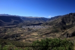 Colca Canyon (163).JPG