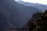 Colca Canyon (44).JPG