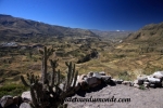 Colca Canyon (146).JPG