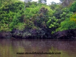 Iquitos (138).JPG