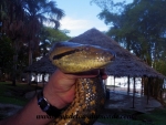 Iquitos (170).JPG