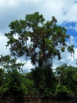 Iquitos (81).JPG