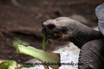 Galapagos (192).JPG