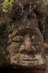 Galapagos (209).JPG