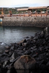 Galapagos (94).JPG