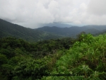 Bocas del Toro (7).JPG