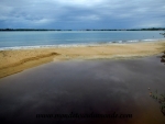 Bocas del Toro (80).JPG