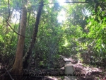 Manuel Antonio (59).JPG