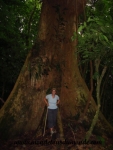 Arenal (9).JPG