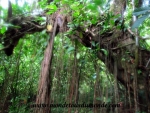 Ometepe (47).JPG