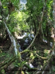 Semuc Champey (8).JPG